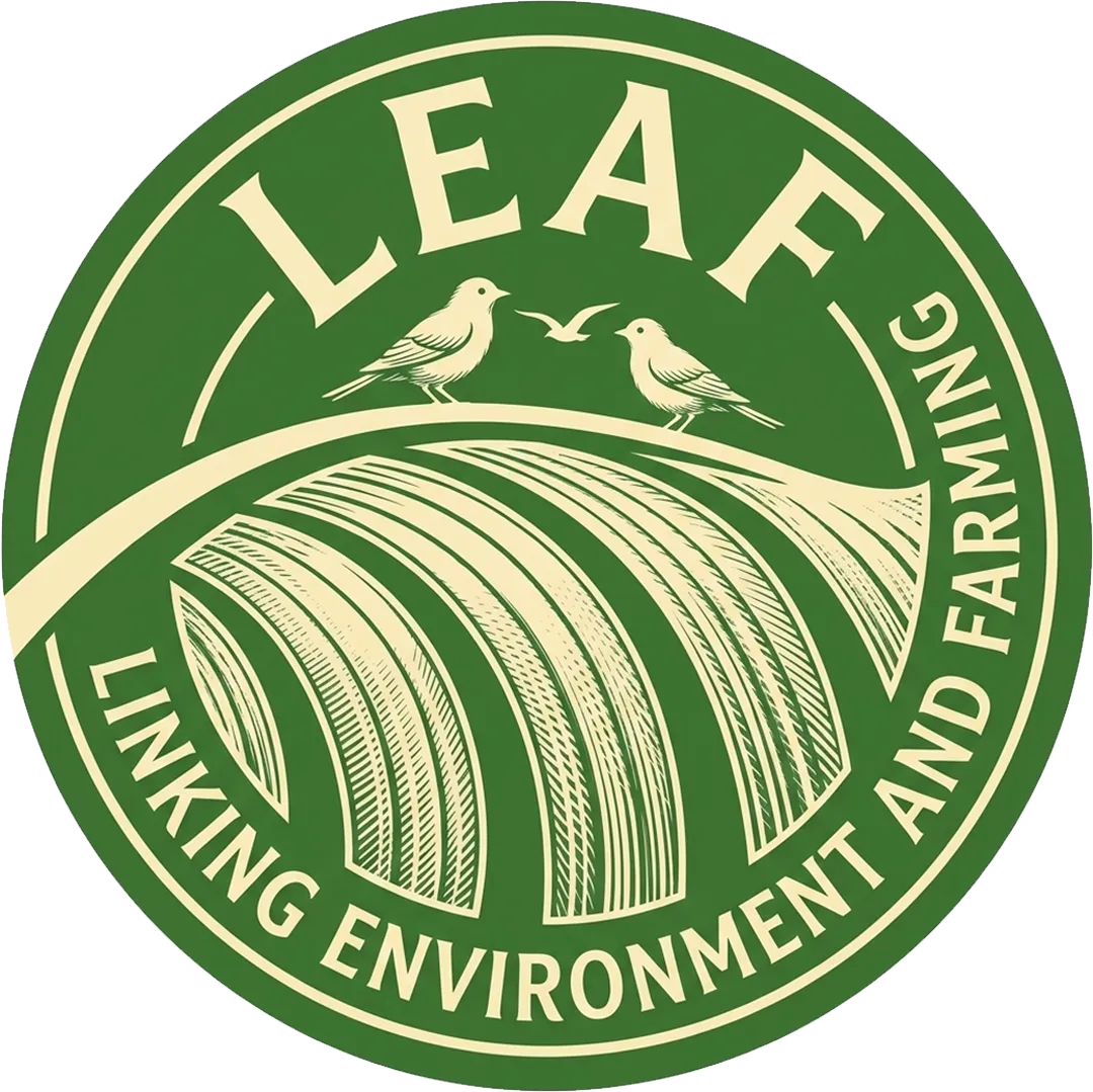 LEAF MARQUE