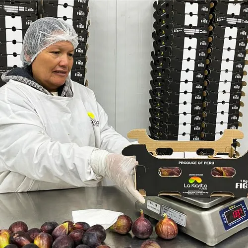 Trabajadora de Fundo La Kiarita