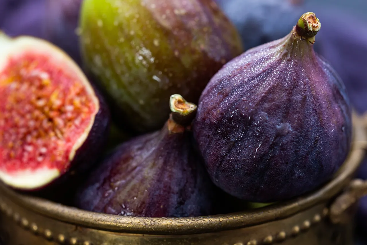 Fondo de El Fruto de Nuestra Tierra